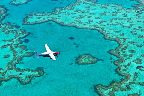 Fly & Sail Package (With Providence) - Accommodation Brisbane 4