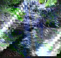 Mt Field National Park and Russell Falls from Hobart - Accommodation Brisbane