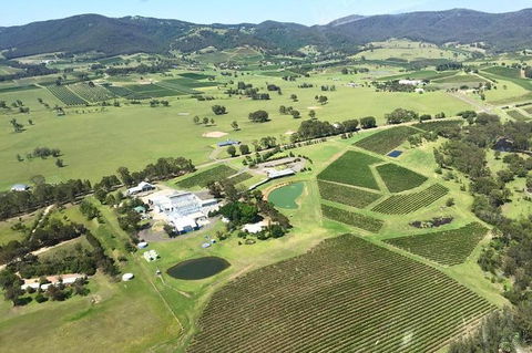 Helicopter Tour Of Hunter Valley In New South Wales With Lunch - Accommodation Brisbane 4