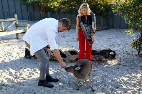 Albany's Whale Story - Accommodation Brisbane 1