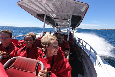 Adventure Rottnest Tour With Ferry & Adventure Cruise From Perth Or Fremantle - Accommodation Brisbane 0