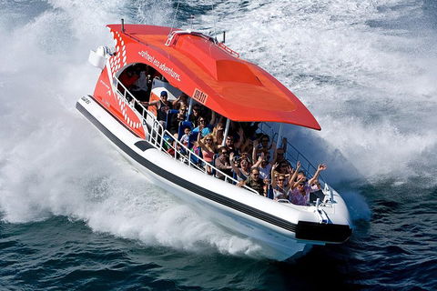 Adventure Rottnest Tour With Ferry & Adventure Cruise From Perth Or Fremantle - Accommodation Brisbane 2