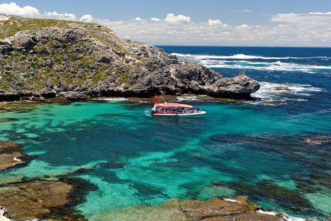 Adventure Rottnest Tour With Ferry & Adventure Cruise From Perth Or Fremantle - Accommodation Brisbane 5