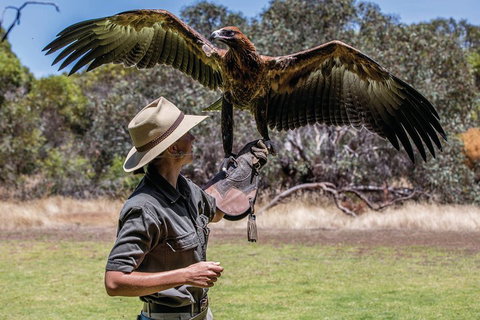 One Day Kangaroo Island Sip & See Tour With Return Ferry Transfers From Adelaide - Accommodation Brisbane 0