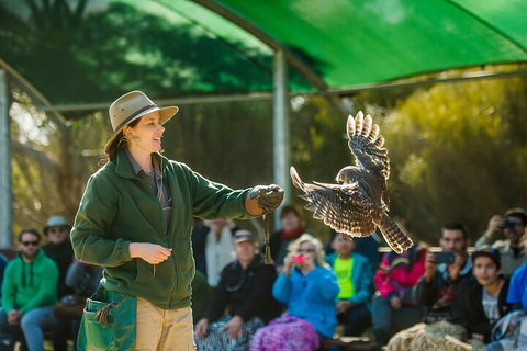 One Day Kangaroo Island Sip & See Tour With Return Ferry Transfers From Adelaide - Accommodation Brisbane 3