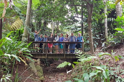 Cairns Shore Excursion: Cairns City Sights & Surrounds Tour - Accommodation Brisbane 1