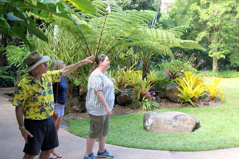 Cairns Shore Excursion: Cairns City Sights & Surrounds Tour - Accommodation Brisbane 4