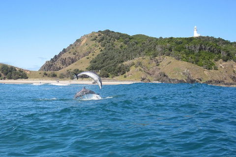 Kayaking With Dolphins In Byron Bay Guided Tour - Accommodation Brisbane 0
