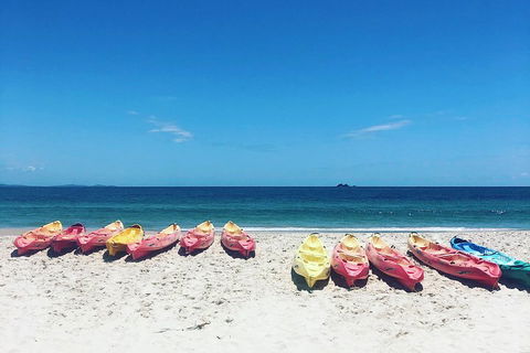 Kayaking With Dolphins In Byron Bay Guided Tour - Accommodation Brisbane 1