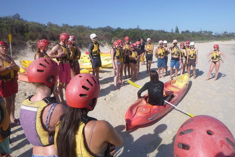 Kayaking With Dolphins In Byron Bay Guided Tour - Accommodation Brisbane 2