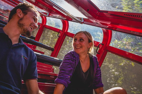 Blue Mountains Hop-on Hop-off Tour With Optional Scenic World Rides - Accommodation Brisbane 5