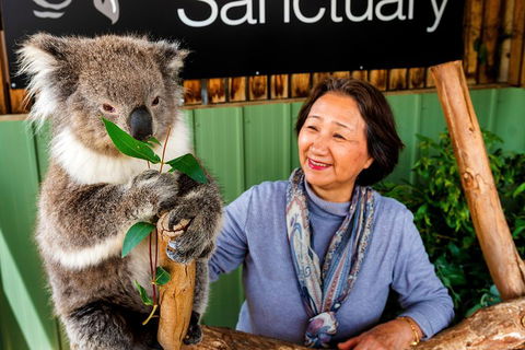 Moonlit Sanctuary Wildlife Conservation Park Daytime General Entry Ticket - Accommodation Brisbane 0