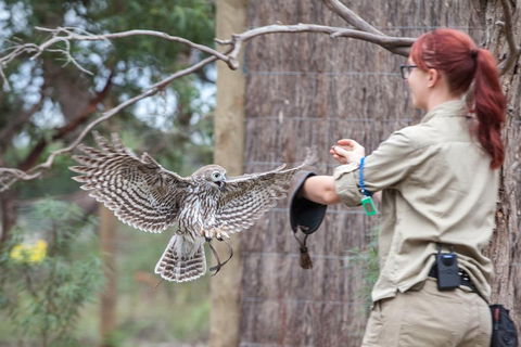 Moonlit Sanctuary Wildlife Conservation Park Daytime General Entry Ticket - Accommodation Brisbane 1