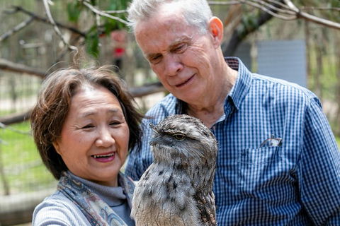 Moonlit Sanctuary Wildlife Conservation Park Daytime General Entry Ticket - Accommodation Brisbane 3