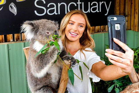 Moonlit Sanctuary Wildlife Conservation Park Daytime General Entry Ticket - Accommodation Brisbane 4
