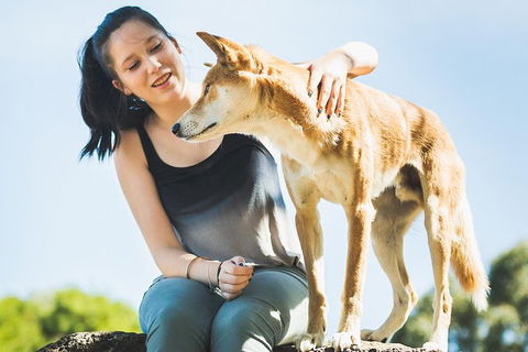 Moonlit Sanctuary Wildlife Conservation Park Daytime General Entry Ticket - Accommodation Brisbane 5