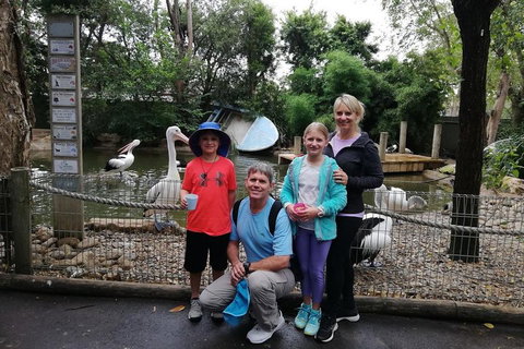 Blue Mountains Private Tour With Kangaroos & Koala Encounter - Accommodation Brisbane 4