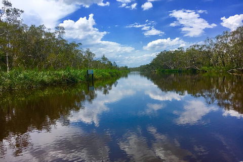 Noosa Everglades Serenity Cruise & Highlights Tour Inc. Lunch & Cruise - Accommodation Brisbane 0