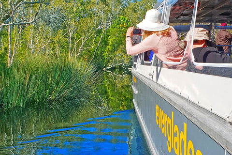 Noosa Everglades Serenity Cruise & Highlights Tour Inc. Lunch & Cruise - Accommodation Brisbane 2