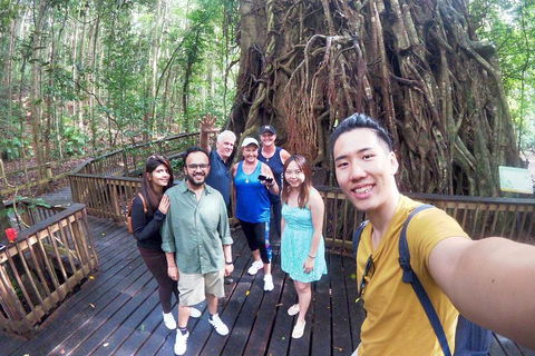 Barron Gorge And Kuranda National Park Half Day Rainforest And Waterfall 4WD Tour From Cairns - Accommodation Brisbane 5