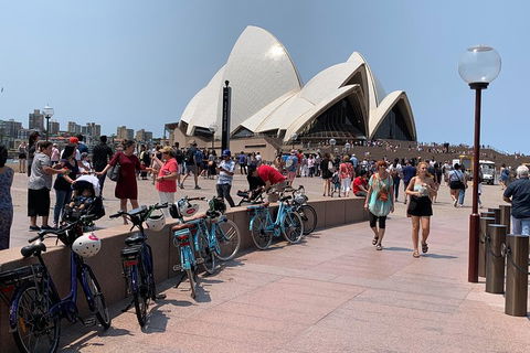 The Big Easy - Accommodation Brisbane 4