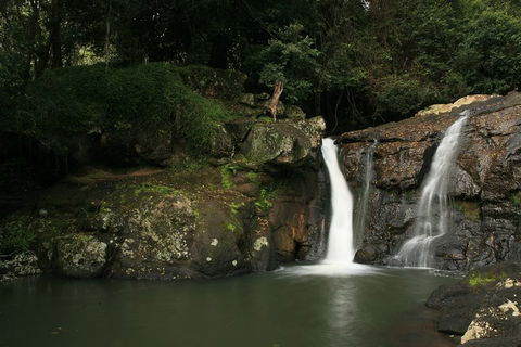 Hinterland Magic & Glow-worm Experience - Accommodation Brisbane 2
