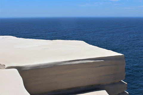 Royal National Park Tour - Accommodation Brisbane 0