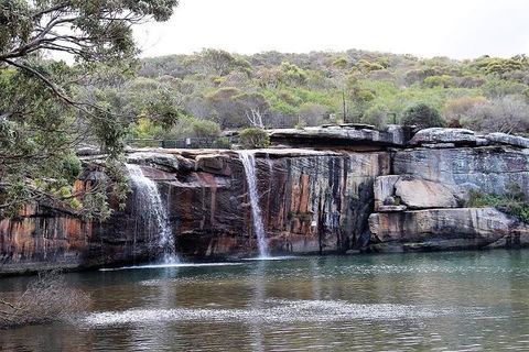 Royal National Park Tour - Accommodation Brisbane 1