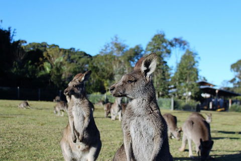 Royal National Park Tour - Accommodation Brisbane 2