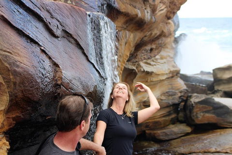 Royal National Park Tour - Accommodation Brisbane 4