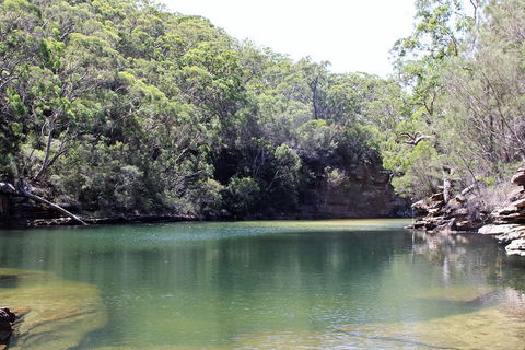 Royal National Park Tour - Accommodation Brisbane 5