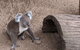 Australian Wildlife & Waterfalls Private Tour With 'Personalised Sydney Tours' - thumb 0