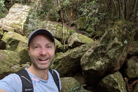 Australian Wildlife & Waterfalls Private Tour With 'Personalised Sydney Tours' - Accommodation Brisbane 4