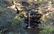 Australian Wildlife & Waterfalls Private Tour With 'Personalised Sydney Tours' - thumb 5
