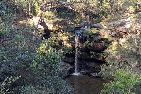 Australian Wildlife & Waterfalls Private Tour With 'Personalised Sydney Tours' - Accommodation Brisbane 5