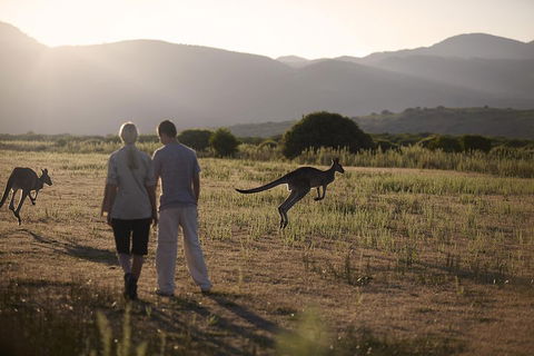 Overnight Daylesford And Macedon Ranges Gourmet Food Trail Tour From Melbourne - Accommodation Brisbane 1