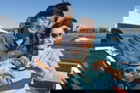 Gold Coast City Sights Tour from Gold Coast, Surfers Paradise