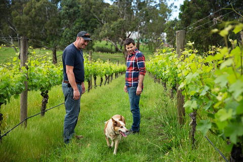 LGBT+ Friendly Full Day Yarra Valley & Dandenong Ranges Private Tour - Accommodation Brisbane 4