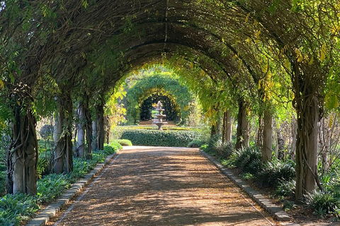 LGBT+ Friendly Full Day Yarra Valley & Dandenong Ranges Private Tour - Accommodation Brisbane 5
