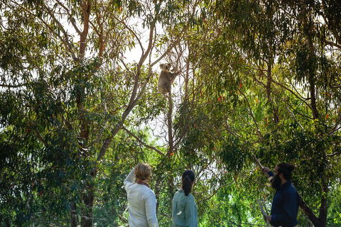 LGBT+ Friendly 3 Day Tour The Grampians, Daylesford & Ballarat - Accommodation Brisbane 4