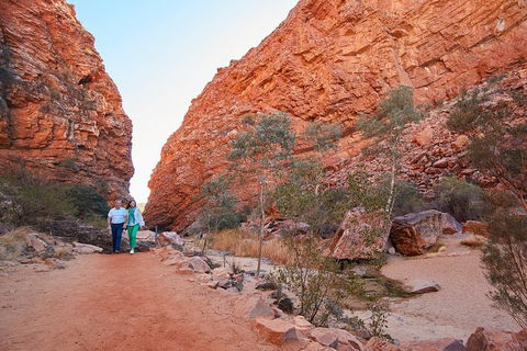 Best Of Alice Springs Full Day Tour - Accommodation Brisbane 1