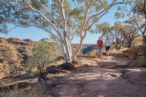 3-Day Tour From Uluru (Ayers Rock) To Alice Springs Via Kings Canyon - Accommodation Brisbane 1