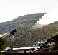 Taste of the Blue Mountains - Lunch  Wine tasting Beer Cider  Gin Tasting - Accommodation Brisbane