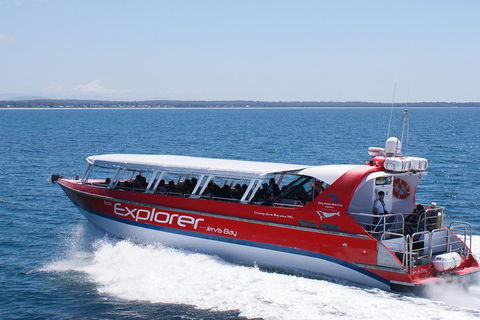 Whale Watching Jervis Bay - Accommodation Brisbane 1