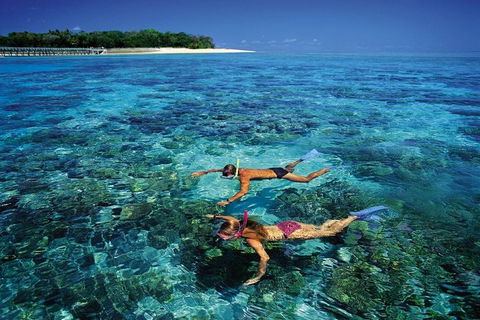 Green Island Day Trip From Cairns - Accommodation Brisbane 5