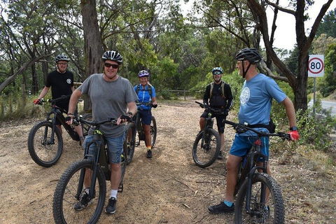 Fully Guided E-Mountain Bike Tour On The Beautiful Mornington Peninsula. - Accommodation Brisbane 0