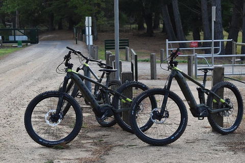 Fully Guided E-Mountain Bike Tour On The Beautiful Mornington Peninsula. - Accommodation Brisbane 2