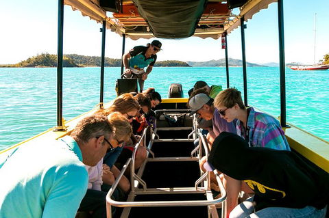 Airlie Beach Glass Bottom Boat Tour - Accommodation Brisbane 1