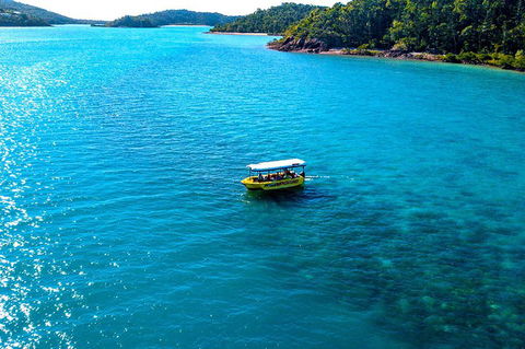 Airlie Beach Glass Bottom Boat Tour - Accommodation Brisbane 2