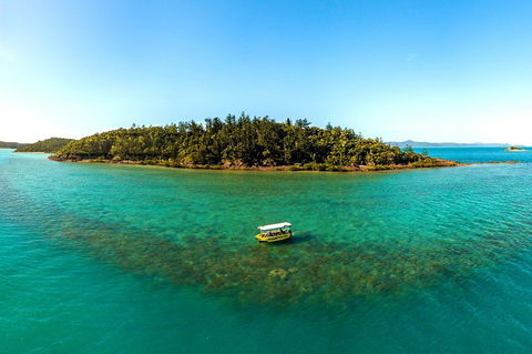 Airlie Beach Glass Bottom Boat Tour - Accommodation Brisbane 3